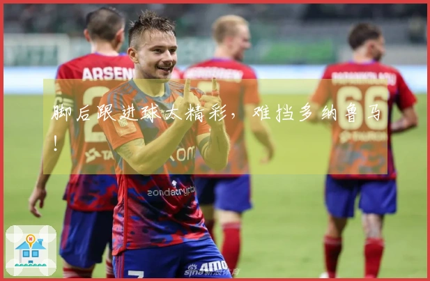 脚后跟进球太精彩，难挡多纳鲁马！